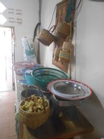 DSCN8290~2.JPG