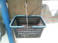 DSCN7867.JPG