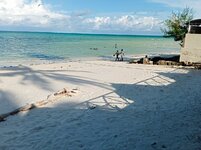 IMG_20260506_161326.jpg