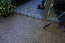 DSC09655.JPG