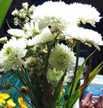 IMG_20260124_182756_710~2.jpg