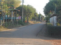 DSCN8184.JPG
