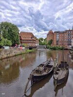 IMG_20260606_160331.jpg