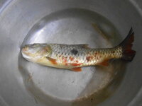 DSCN7446.JPG DSCN7446.JPG