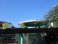 DSCN7598.JPG DSCN7598.JPG