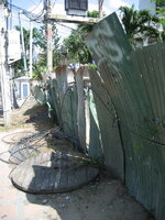 IMG_3567.JPG