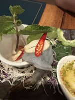 IMG_1230.jpeg
