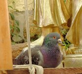 IMG_20260607_134638.jpg