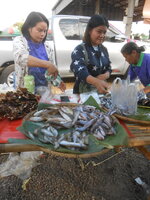 DSCN7518.JPG DSCN7518.JPG