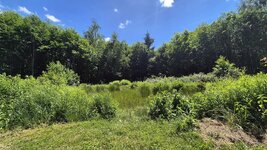 20260607_140729.jpg