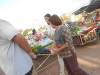 DSCN7529.JPG DSCN7529.JPG