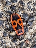 20260608_081954.jpg