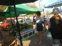 DSCN7551.JPG DSCN7551.JPG