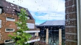20260609_095519.jpg