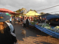 DSCN7553.JPG DSCN7553.JPG