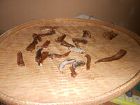 DSCN7571.JPG DSCN7571.JPG