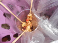 DSCN7586.JPG DSCN7586.JPG