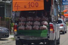 DSC09930.JPG