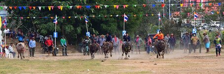 DSC_9811.JPG