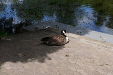 P1000067.JPG