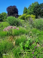 2026 Mai- 029.jpg