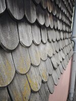 IMG_20260611_181531.jpg