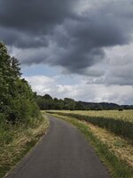IMG_20260611_115238.jpg