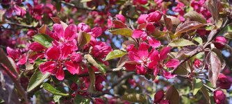 IMG_20260502_162218.jpg