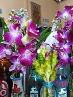 IMG_20260524_082041_976.jpg