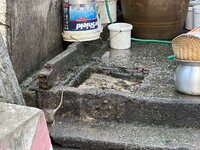 IMG_6864.jpeg