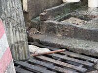 IMG_6865.jpeg