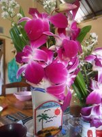 DSCN6690~2.JPG