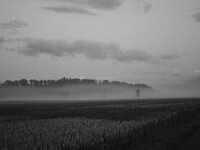 IMG_20260613_045702.jpg