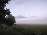 IMG_20260613_050250.jpg