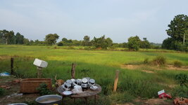 20161003_070546.jpg
