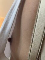 IMG_2126.jpeg