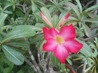 DSCN2375.JPG