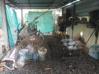 DSCN9879.JPG