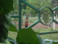 DSCN9881.JPG