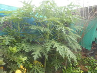DSCN9892.JPG