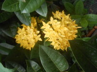 DSCN9890.JPG