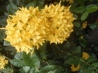 DSCN9889.JPG