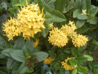 DSCN9891.JPG