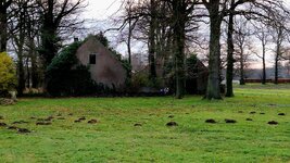 20251218_092942.jpg