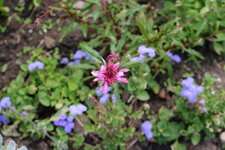 P1000063.JPG