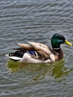 IMG_20260614_165830.jpg