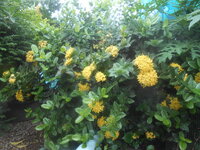 DSCN9888.JPG