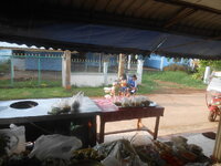 DSCN9915.JPG
