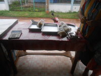 DSCN9917.JPG