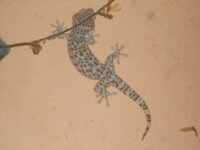DSCN0064.JPG